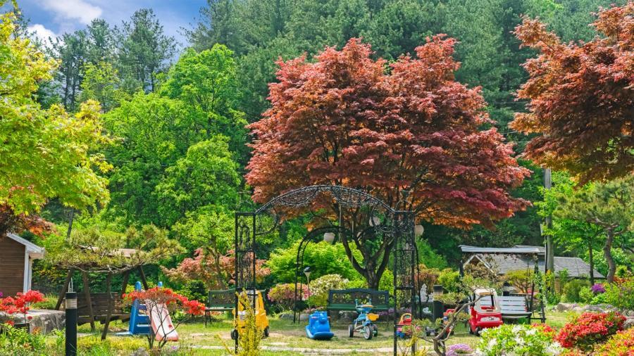 Gapyeong Yeheaden Pension Pocheon Buitenkant foto